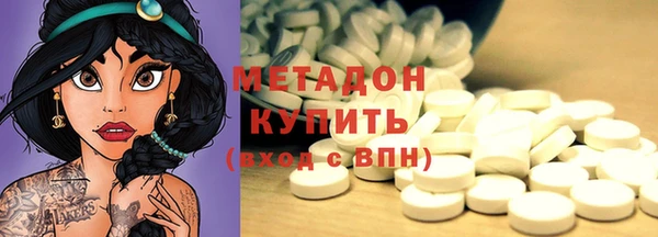 прущие грибы Аркадак